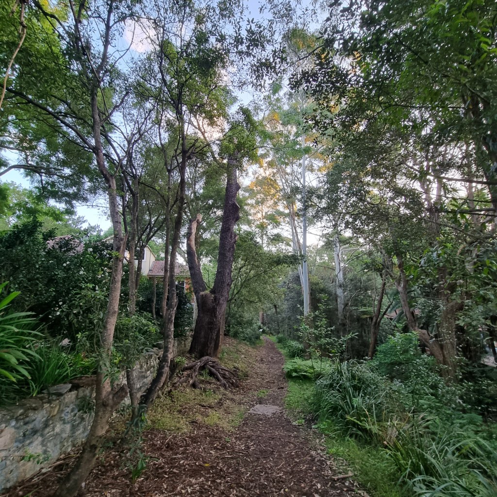 Bushwalk of the Month Evaluation - Community Flower Studio